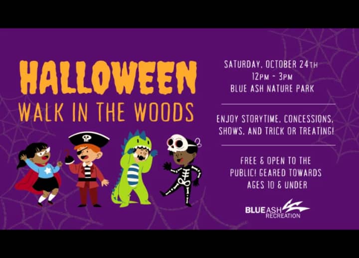 Halloween Walk in the Woods